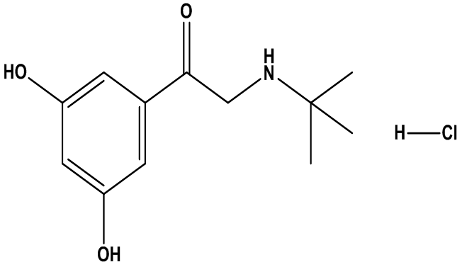 Terbutaline EP Impurity C  1-Deshydroxy 1-Oxo Terbutaline
